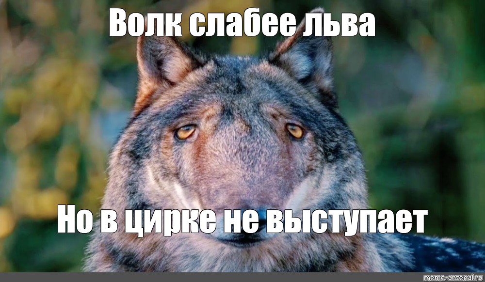 duAn5Cr-5b526d55b0fa7cbe2bd7c08e9a01b191